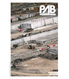 pab n°45 2/2015