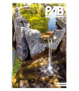 PAB 55 4/2017